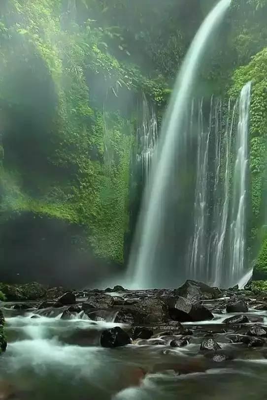 逃离幽灵之林
