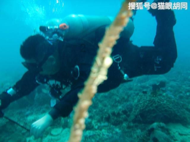 虫虫助手下载