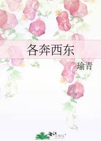 2024年东北地区（黑龙江•中兴）迎新春乡村雪地足球争霸赛收官
