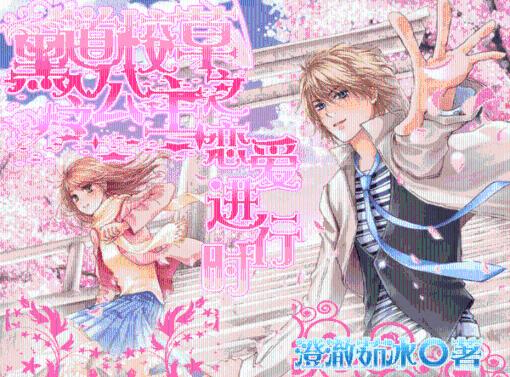 创作猫